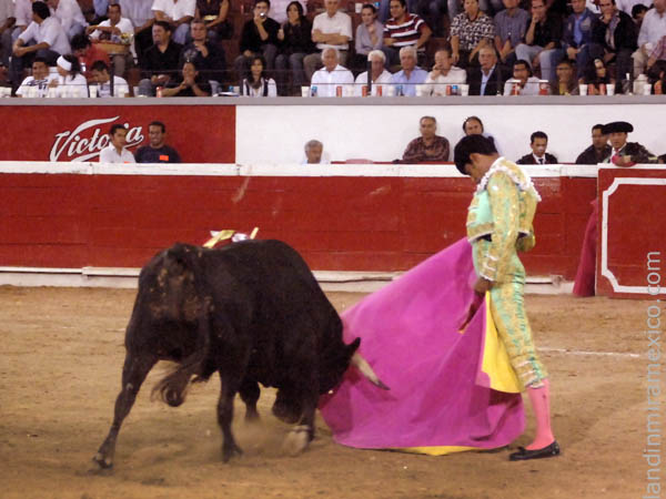 Nacho a la ver�nica