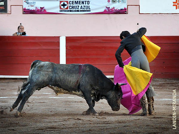 Envuelto en el capote