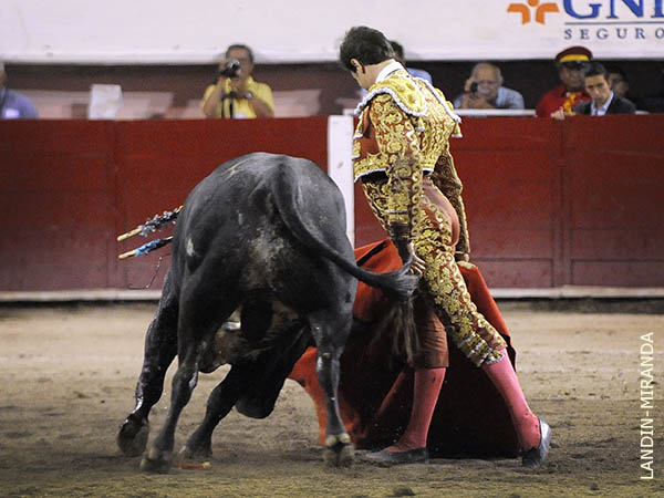 Adornos art�sticos