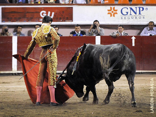 Magn�ficos naturales