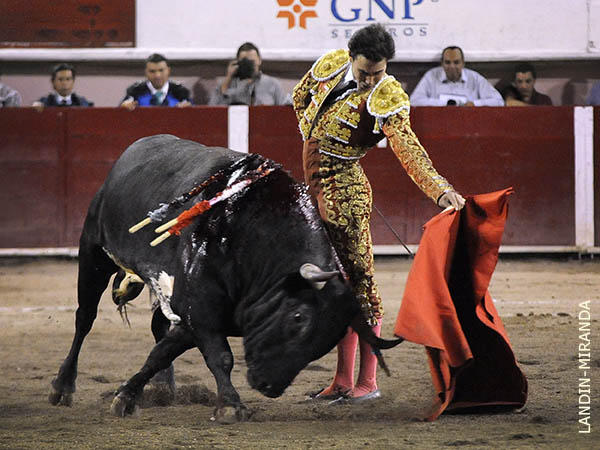 Extraordinario por ambos perfiles