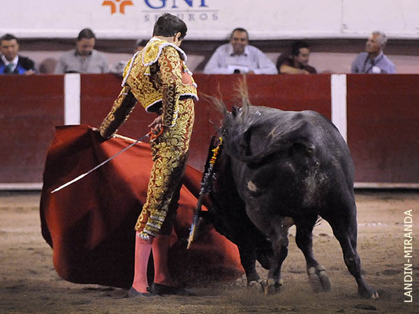 Un toro ideal de De Santiago