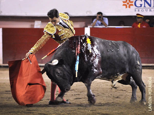 Mauricio cuaj� un gran ejemplar