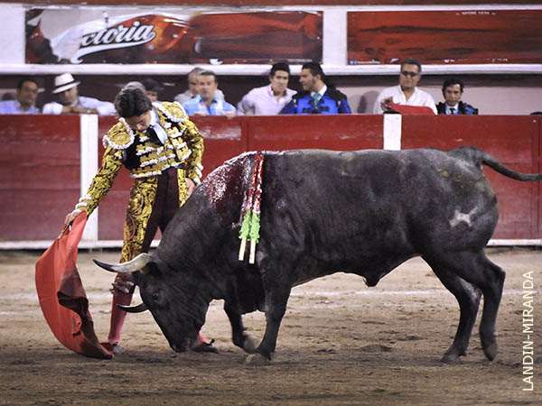 Le plant� cara al de Barbabosa