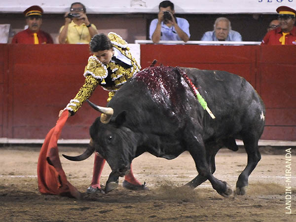 Un toro serio por delante