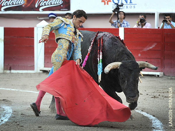 Destellos art�sticos