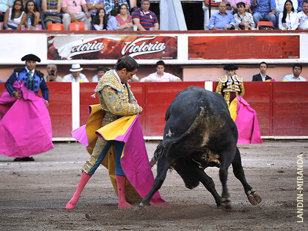 Torero remate al quite