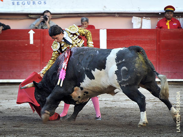 Pocas opciones con el berrendo