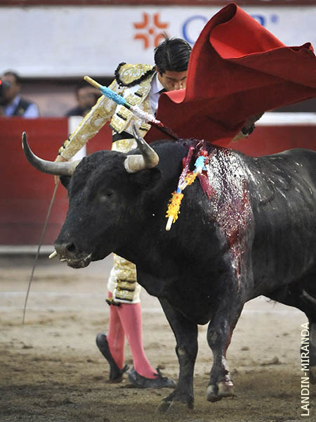 �spero en la muleta