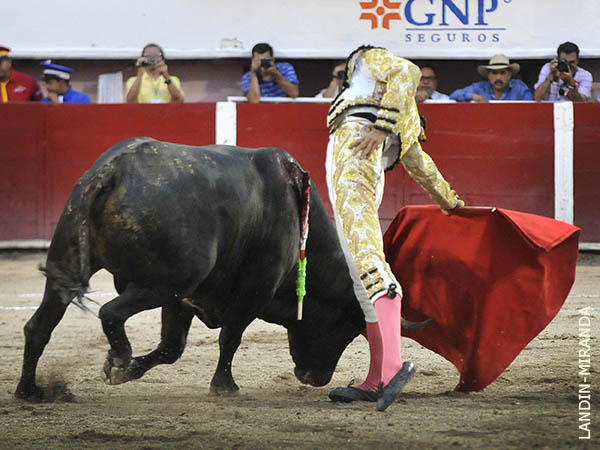 El ejemplar se desplazaba