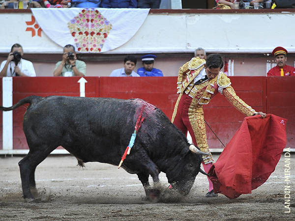 Muletazos meritorios