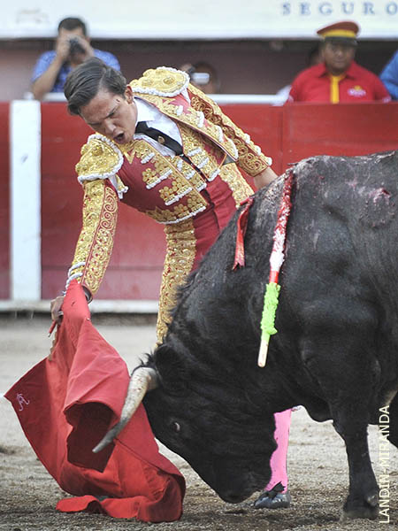 No cej� en sus intentos