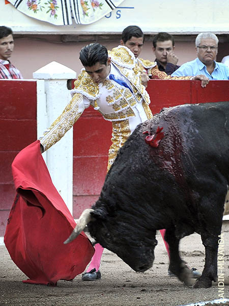 Pulso por ambos pitones