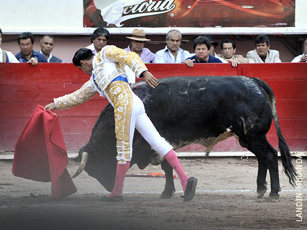 Lidia adecuada a un d�bil