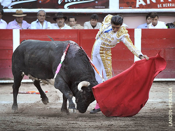 Brill� en los naturales