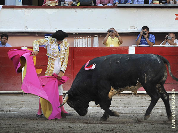 La media de Juan Luis S�lis