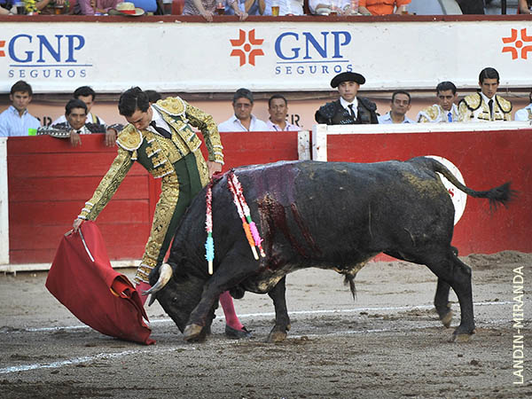 Toro agradecido, se emple�