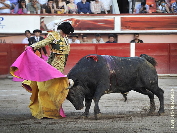 La barbilla en el pecho