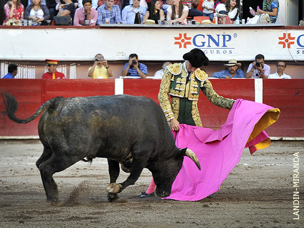 Ver�nicas de Jos� Mauricio