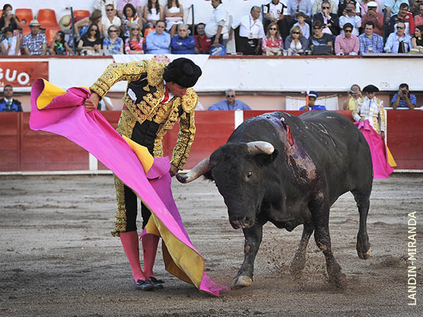 Punteando y echando la cara arriba