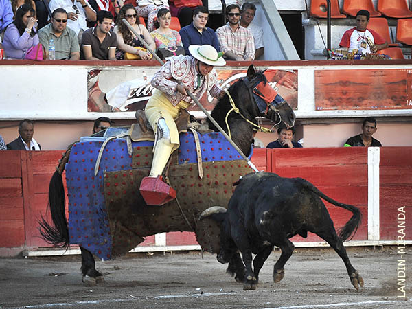 Omar Morales, en todo lo alto