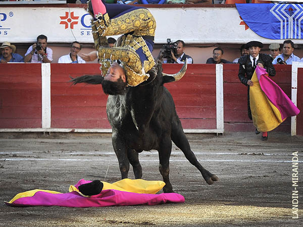 Fuerte voltereta en el saludo