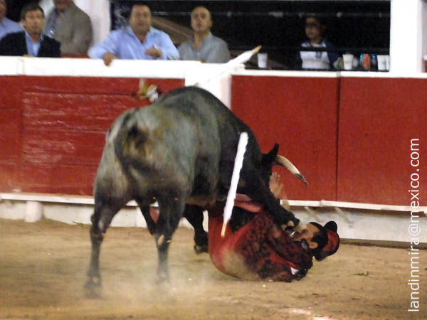 Alex Prado, fractura de tabique