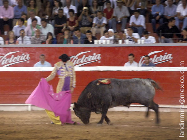 Ochoa y el bravo de Carranco