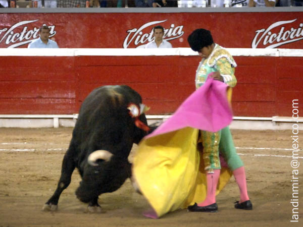 El capote de Garibay