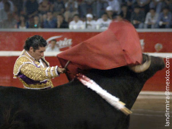 Preparando la muerte