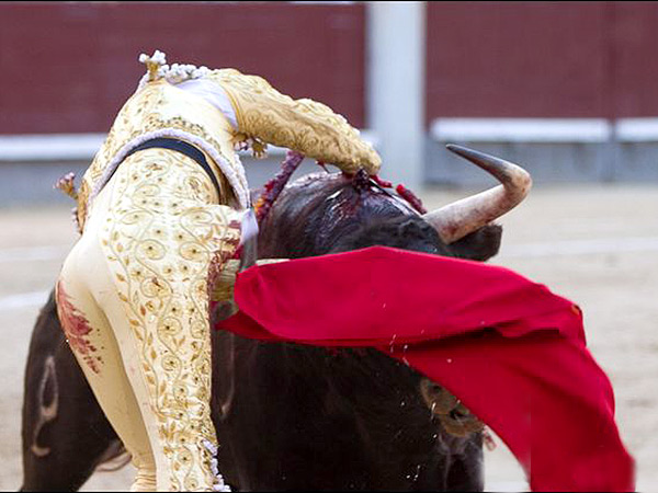 La soberbia estocada de Fandi�o