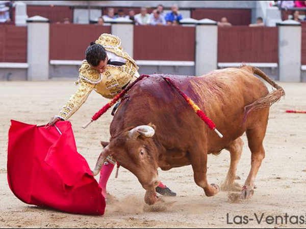 Iv�n con su primer toro