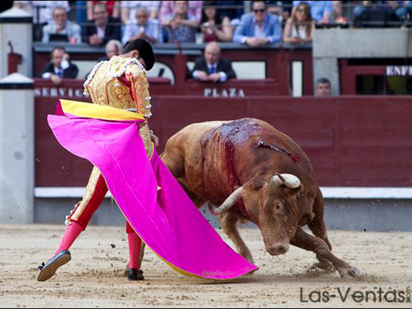 Media ver�nica de Talavante