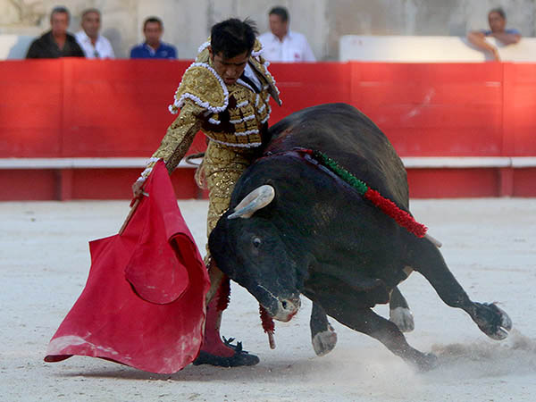 Solvente actuaci�n