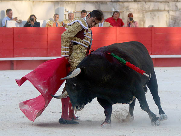 Dispuesto y tesonero