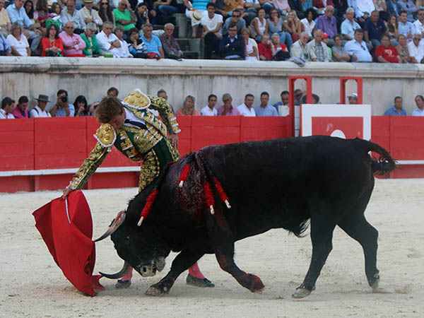 Rom�n con su segundo toro