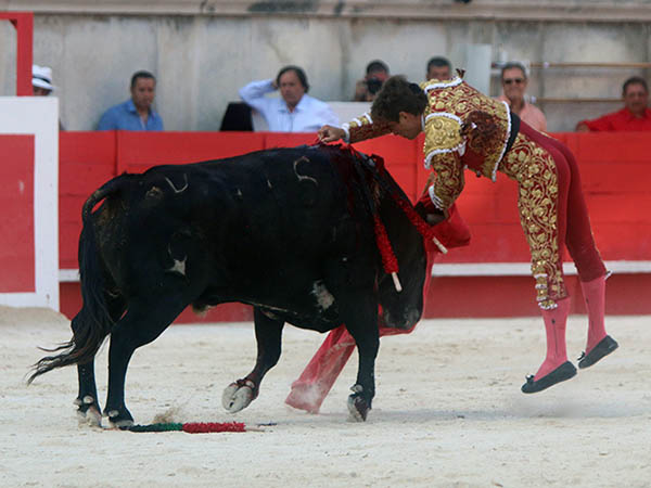 Un ca��n en el brazo