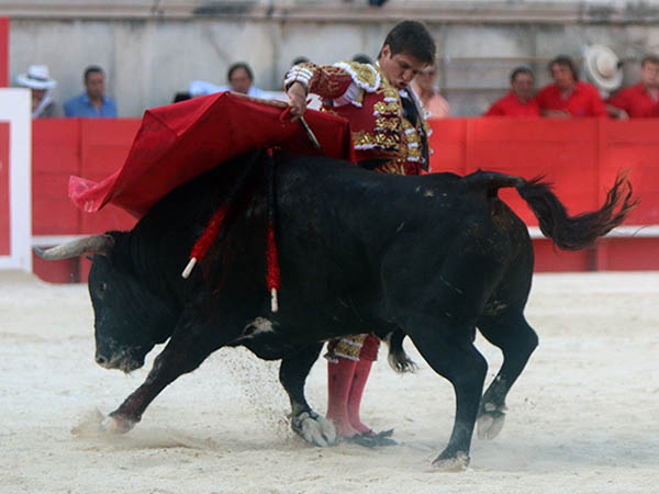 Bernadinas madrie�as