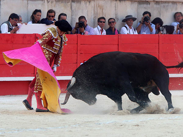 Saludo capotero de El Juli