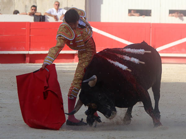 Tirando del astifino