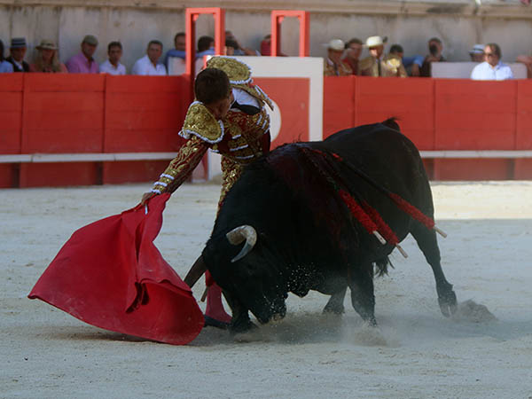 La faena en los medios
