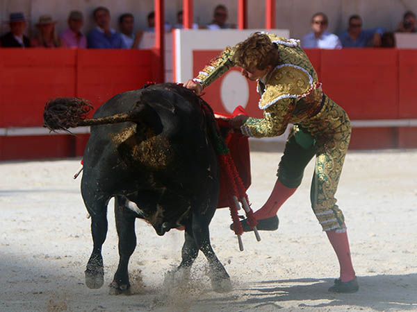 Hasta la empu�adura