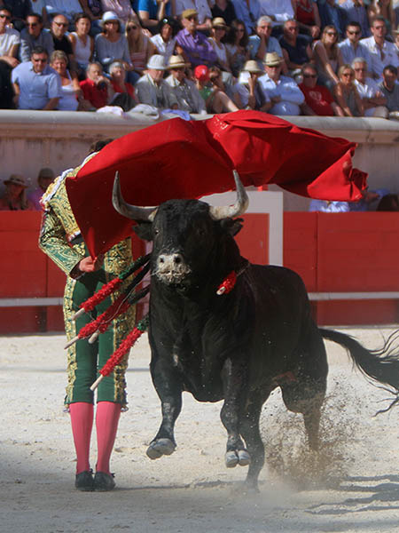 Preparando la muerte