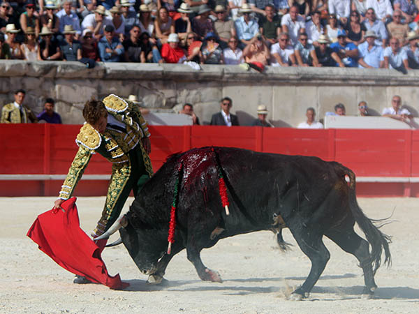 Determinaci�n de triunfo