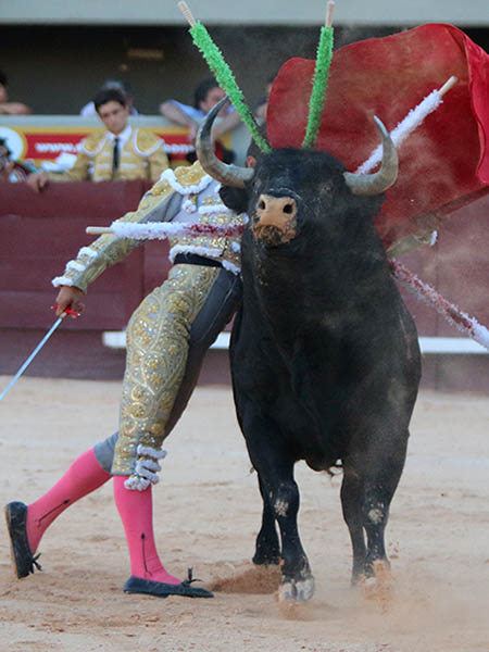 El ejemplar m�s hecho