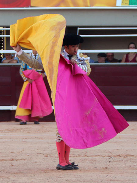 Los vuelos del capote