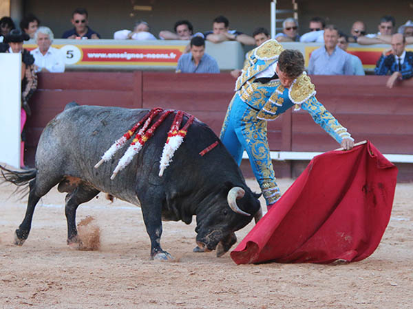 Narurales con sentimiento