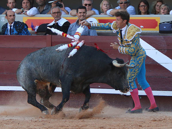 Viol�n por los adentros