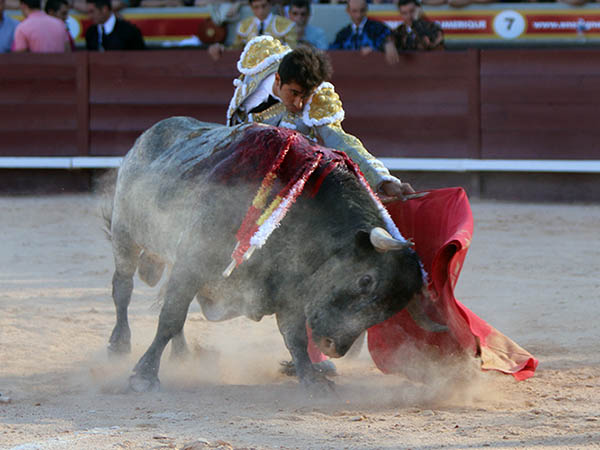 Un c�rdeno con recorrido