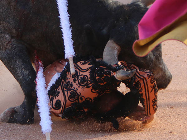 Prendido de la casaca